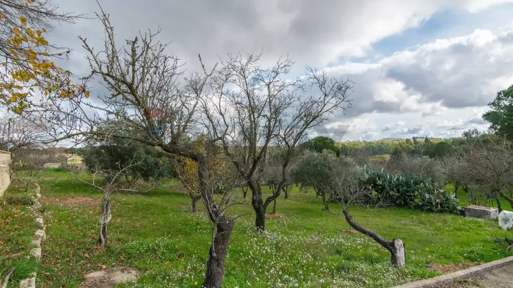 Aed - Bifamiliar Villa with Garden in Piazza Armerina