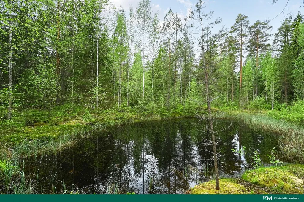 Aed - Spacious House with Sauna in Kerava