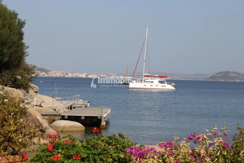 Garden - Beachfront Villa with Pool in Porto Rafael
