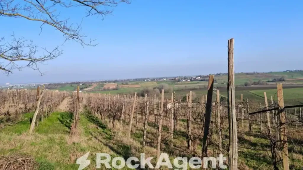 Aed - Cascina with Vineyard in San Damiano al Colle