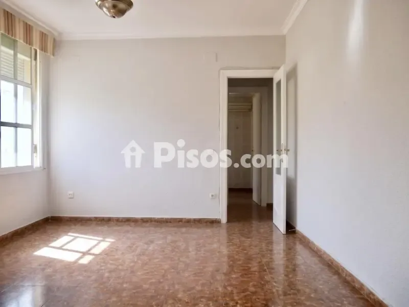 Toad - Apartment with Exterior Views in Triana