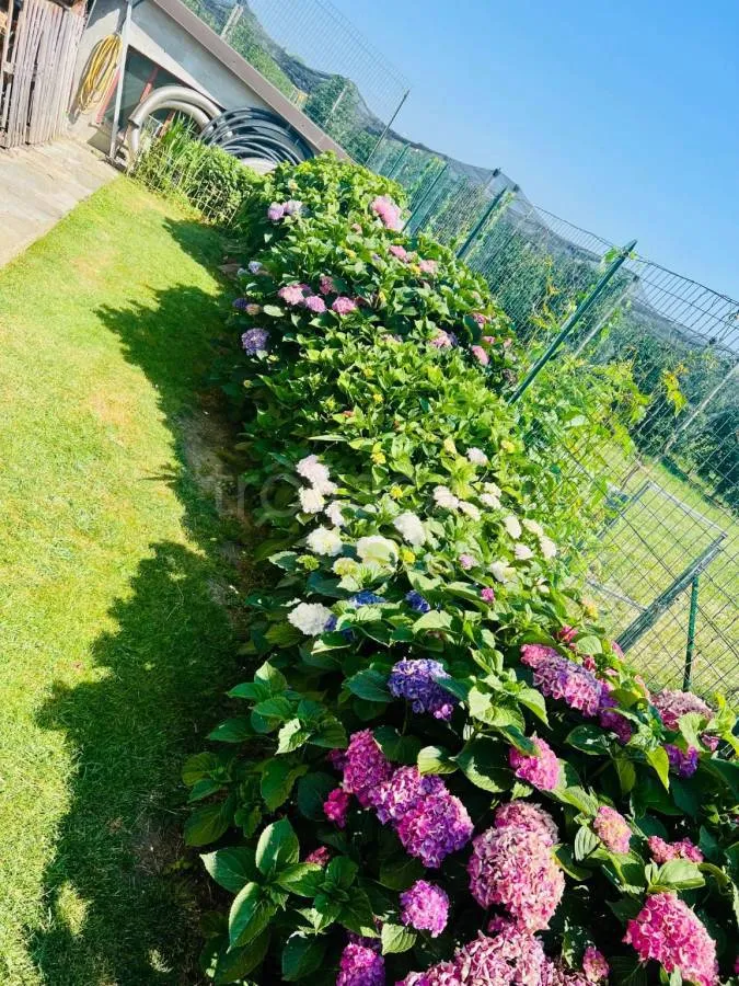 Jardin - Villa with Private Garden in Costigliole Saluzzo