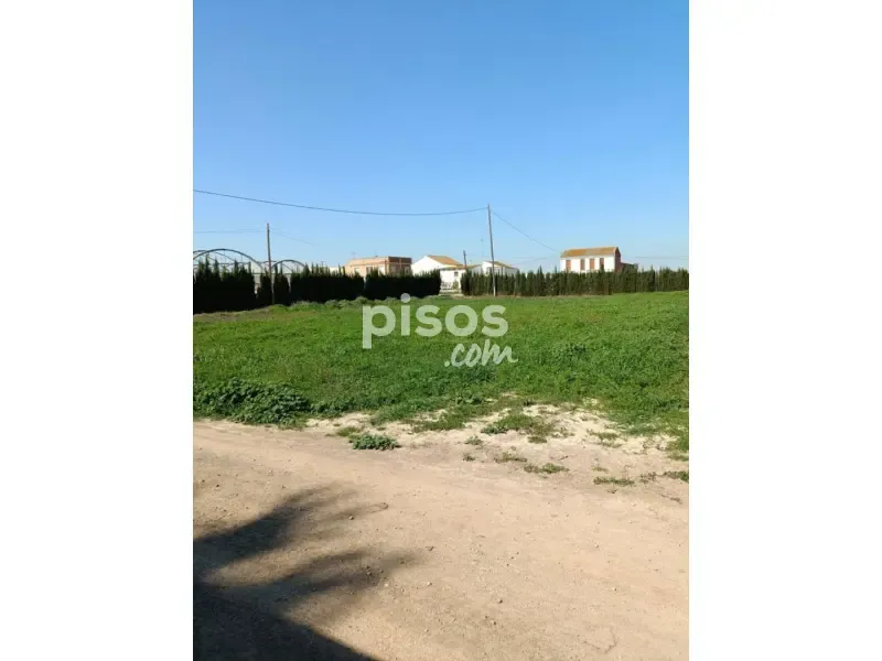 Jardin - Rustic Farmhouse with Land near Huerta