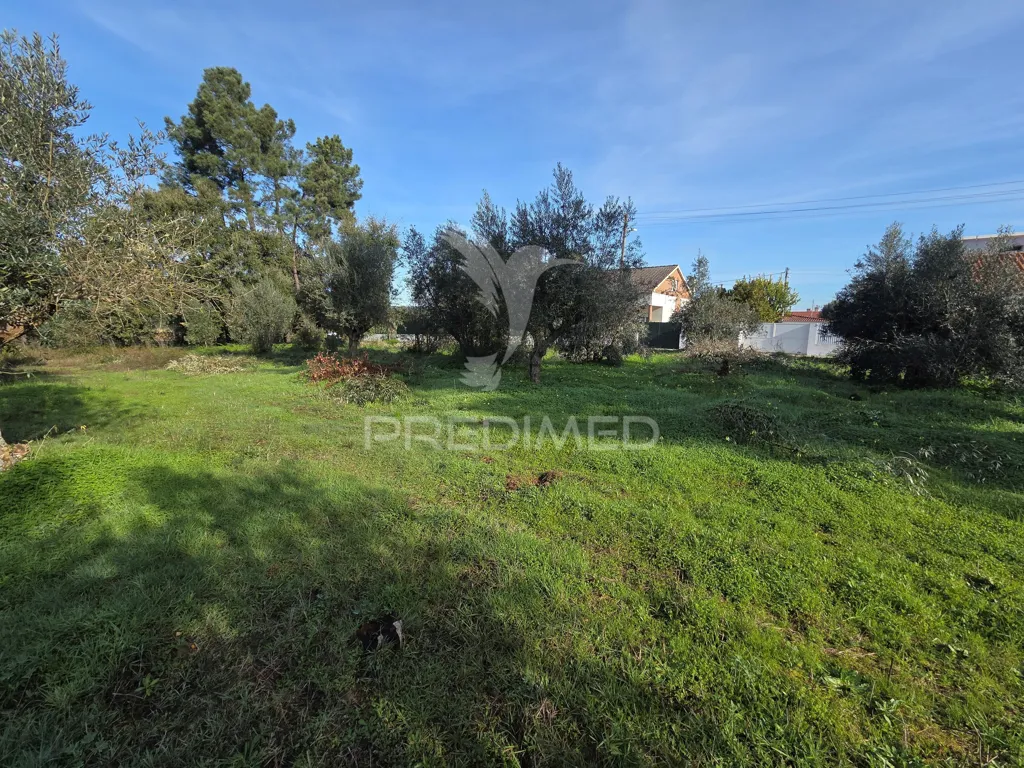 Aed - Urban Plot with Construction Permit in Ribatejo