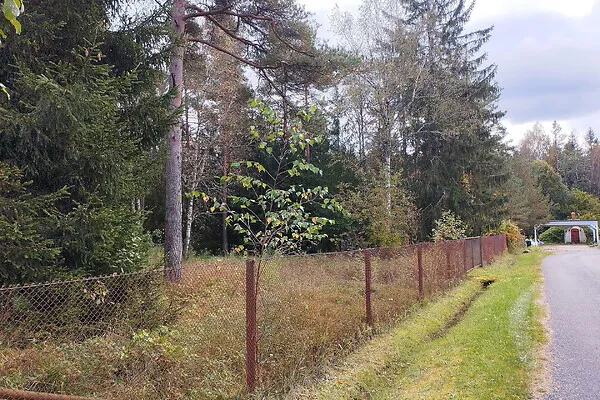 Aed - Country Plot with Forest Access in Koppelmaa