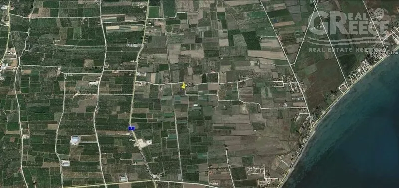Õhuvaade - 4-Acre Olive Grove in Skaftidaki, Argos