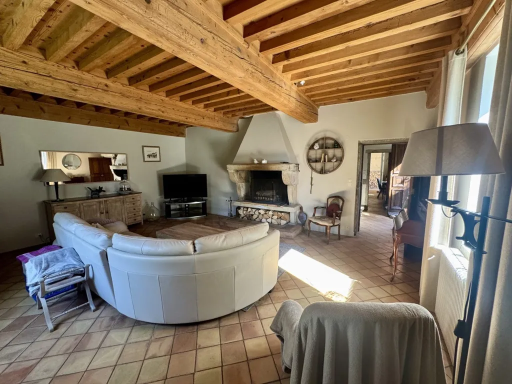 Séjour - Maison historique avec grand terrain à Montanay