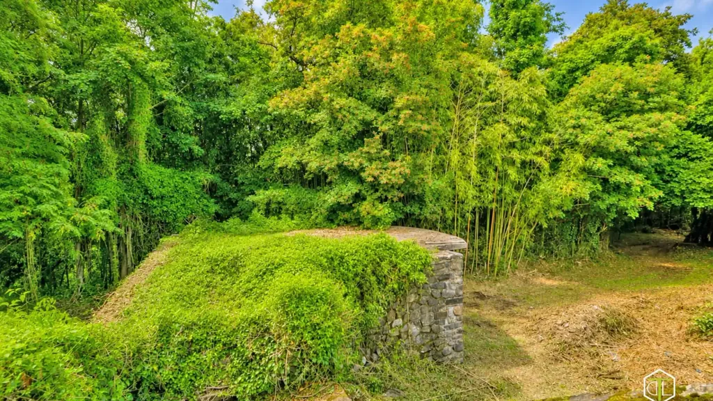 Garden - Rustic Stone Cottage with Panoramic Terrace in Mulazzo