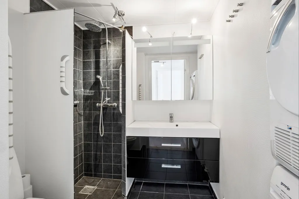 Vannitoad - Apartment with Dam View in Haderslev