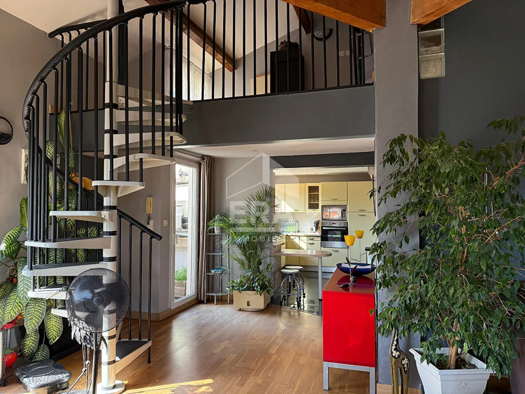 Toad - Duplex with Terraces near Perpignan Centre