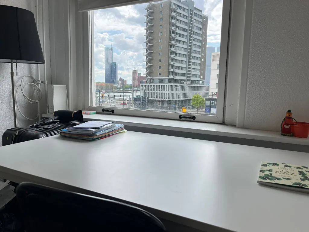 Bureau - Student Room near Erasmus Bridge, Rotterdam