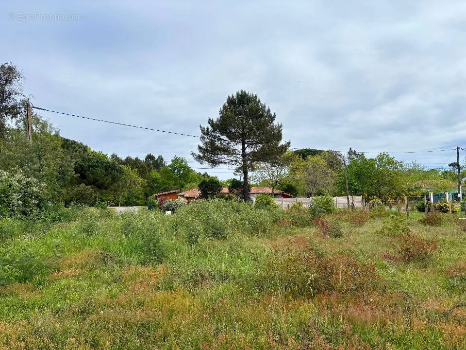Aed - Buildable Plot with Garden in Mimizan
