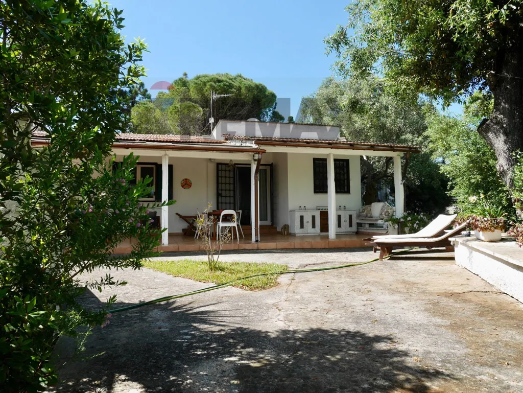 terrace_patio