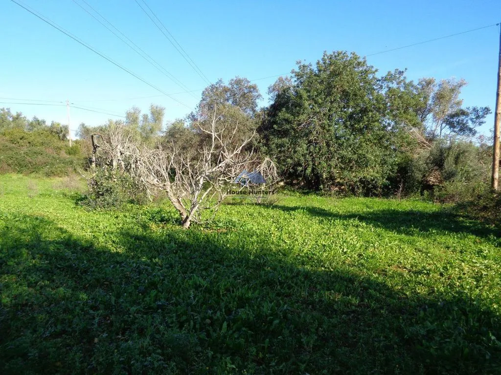 Jardin - Luxury House with Garden in Loulé