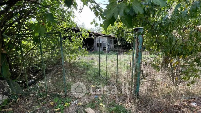 Jardin - Independent House with Garden in Roccasecca