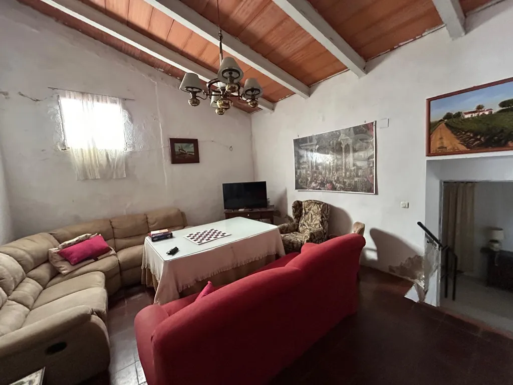 Wohnzimmer - Historic Estate with Vineyard near Badajoz