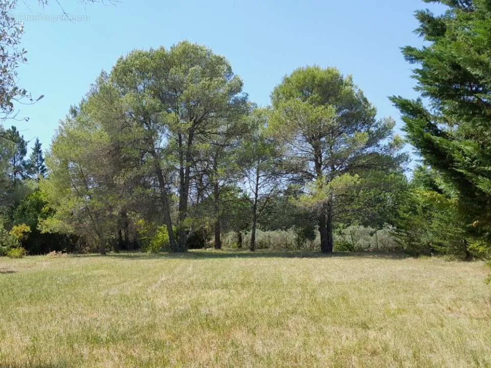 Aed - Plat Viabilised Plot with Olive View in Le Val