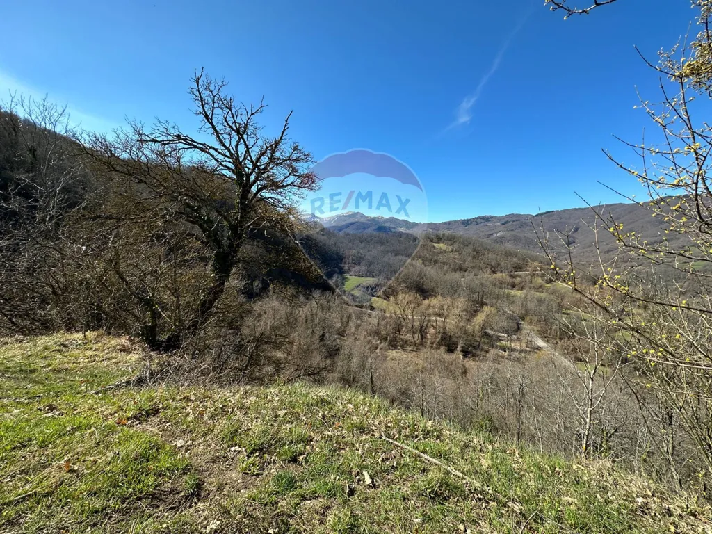 Jardin - Independent House with Garden in Corniglio