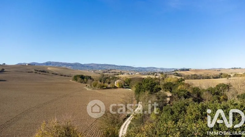 Giardino - Traditional Rustico with Olive Trees in Appignano