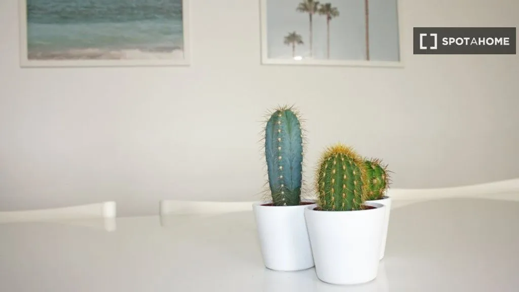 dining_room