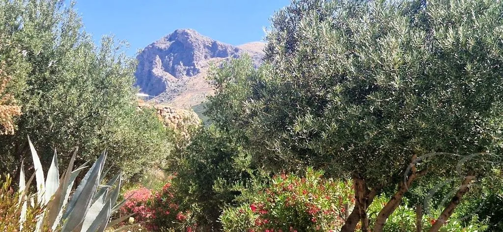 Detached Country House with Pool in Alcaucín