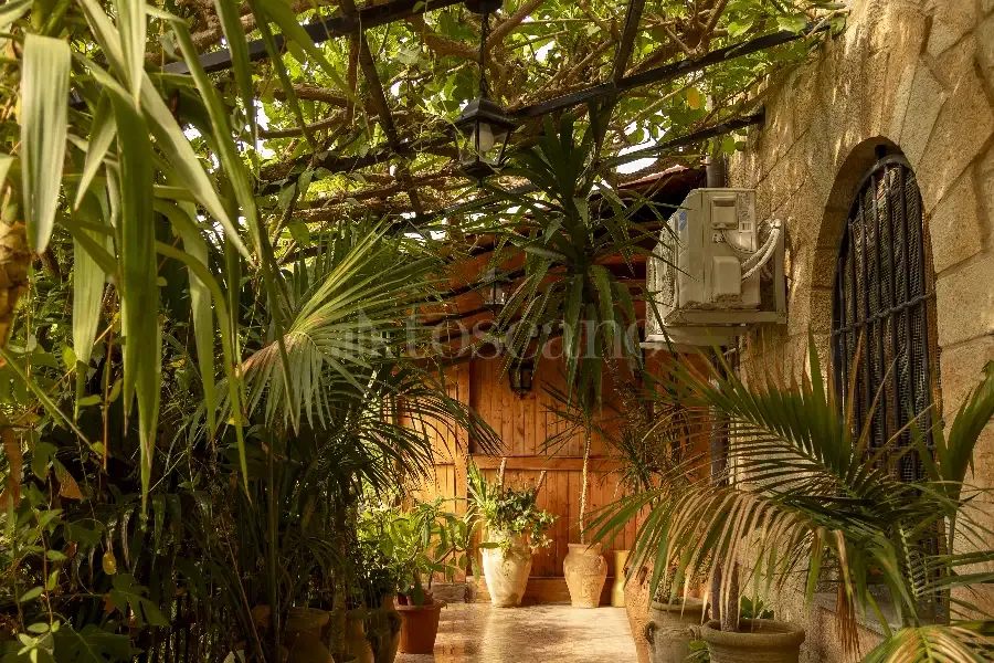 Giardino - Villa con piscina in zona boschiva a Palermo