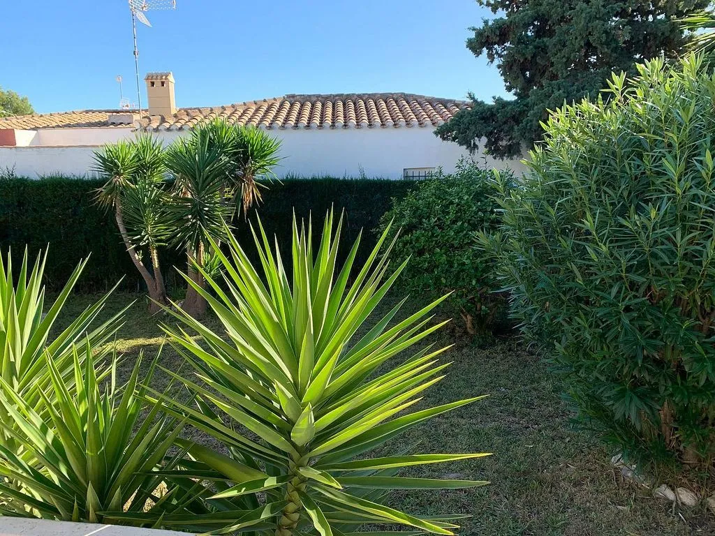 Jardin - Chalet with Garden in Campoamor