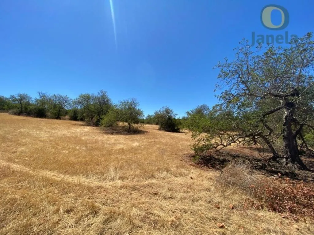Giardino - Building Land with Beach Proximity in Almancil
