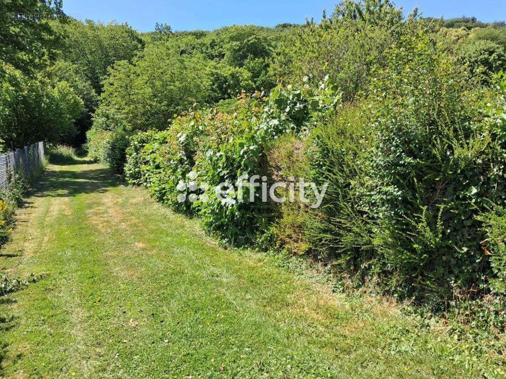 Aed - Constructible Plot in Tourneville