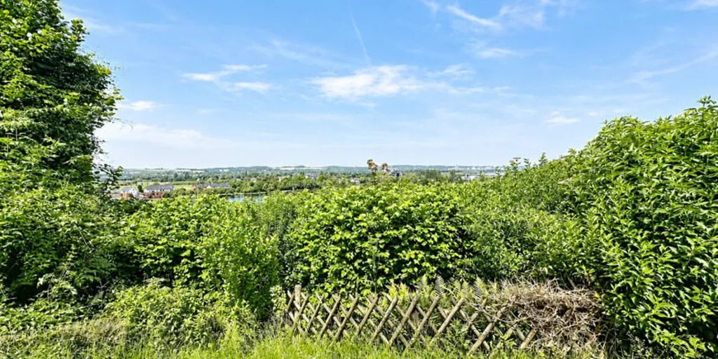 Jardin - Maison à rénover avec terrasse à Visé