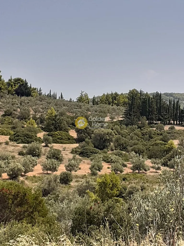 Jardín - Semi-Finished Villa with Garden in Rafina Centre