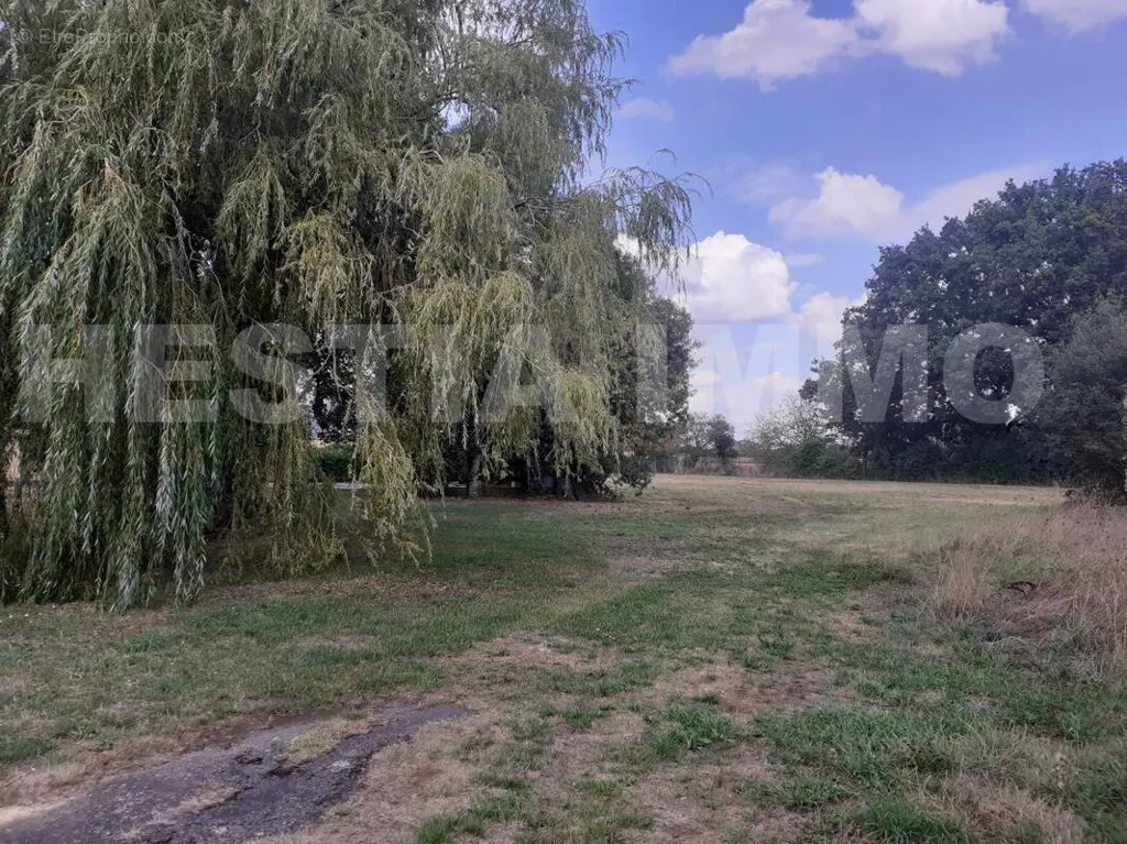 Jardin - Terrain Partiellement Constructible à Saint-Sulpice-des-Landes