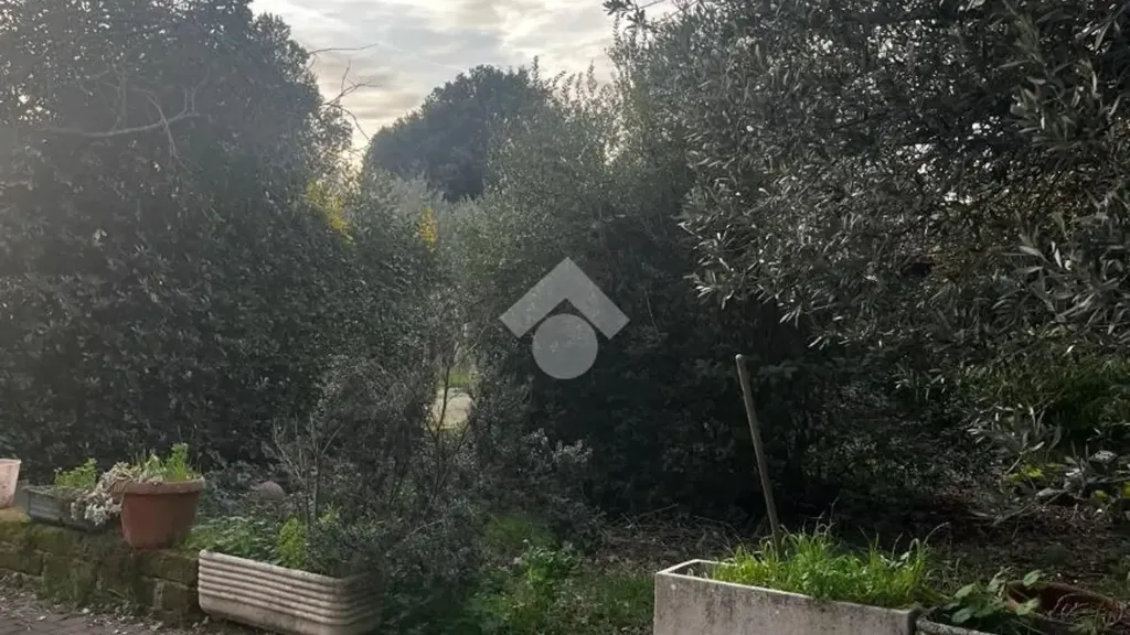 Jardin - Independent House with Garden in Ardea