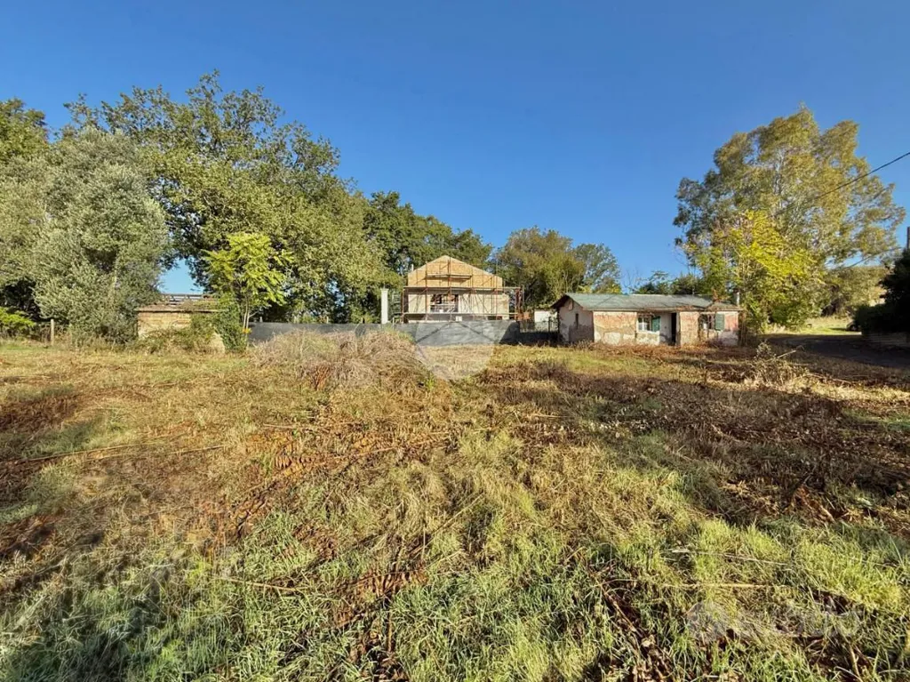 Garden - Rustico with Demolition Potential in Nepi