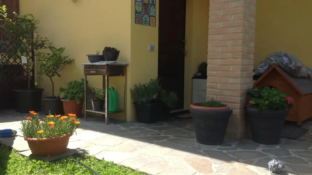 terrace_patio