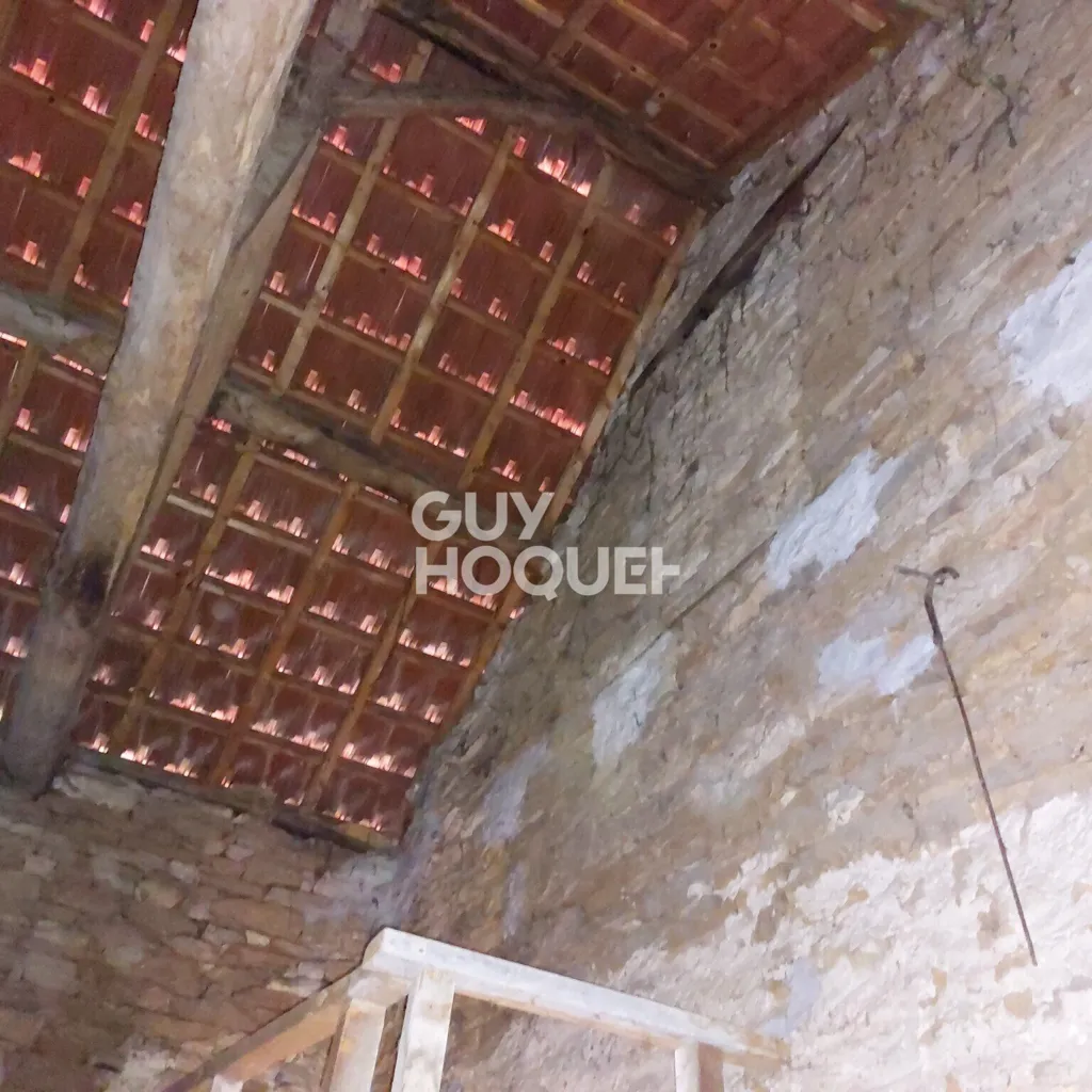 Toad - Two-Unit Property with Renovation Potential in Hérisson-sur-Amby