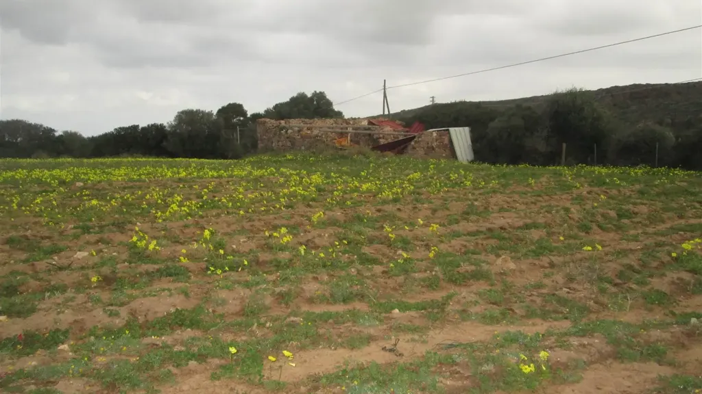 Jardin - Rustic Casale with Large Courtyard in Calasetta