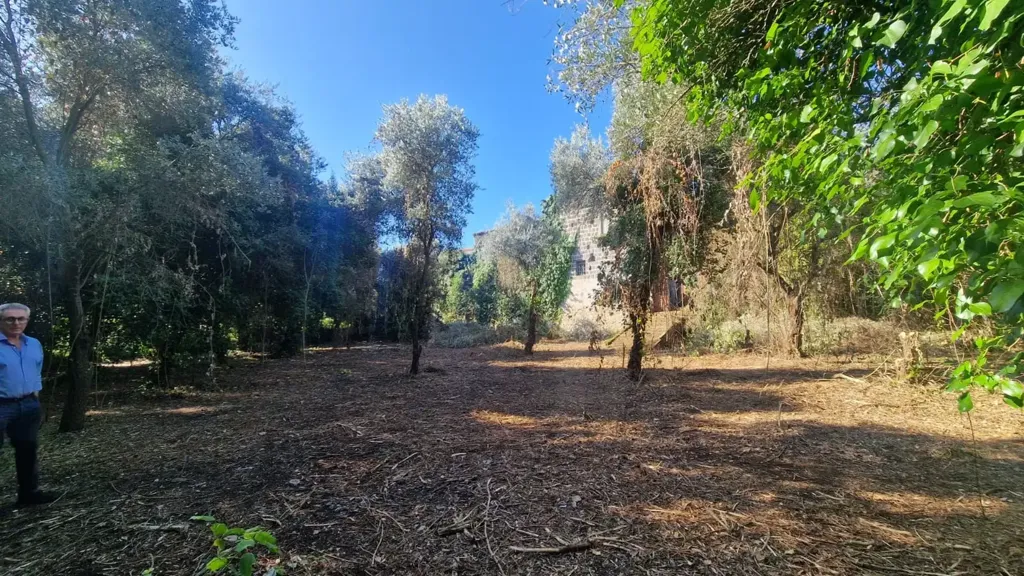Jardin - Historic Home with Terraces in Alvignano