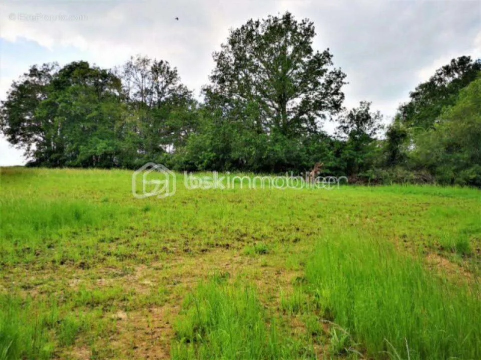 Giardino - Buildable Plot with Forest View near Épernon
