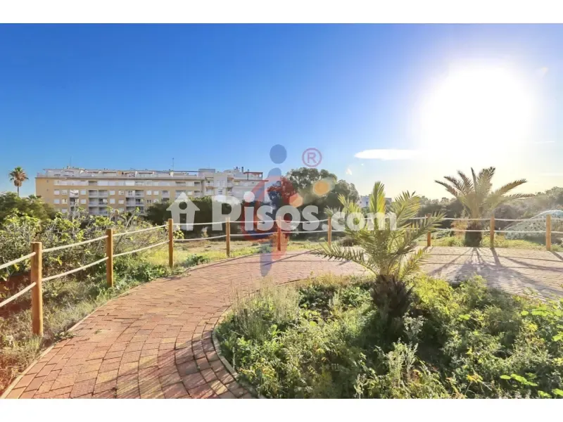 Jardin - Apartment with Sea View near Guardamar