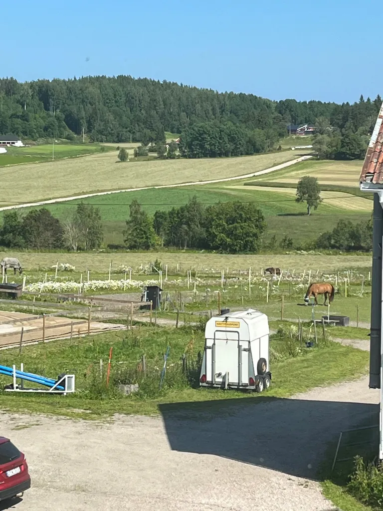 Exterior - Well-Maintained Farmhouse with Stables in Västernorrland