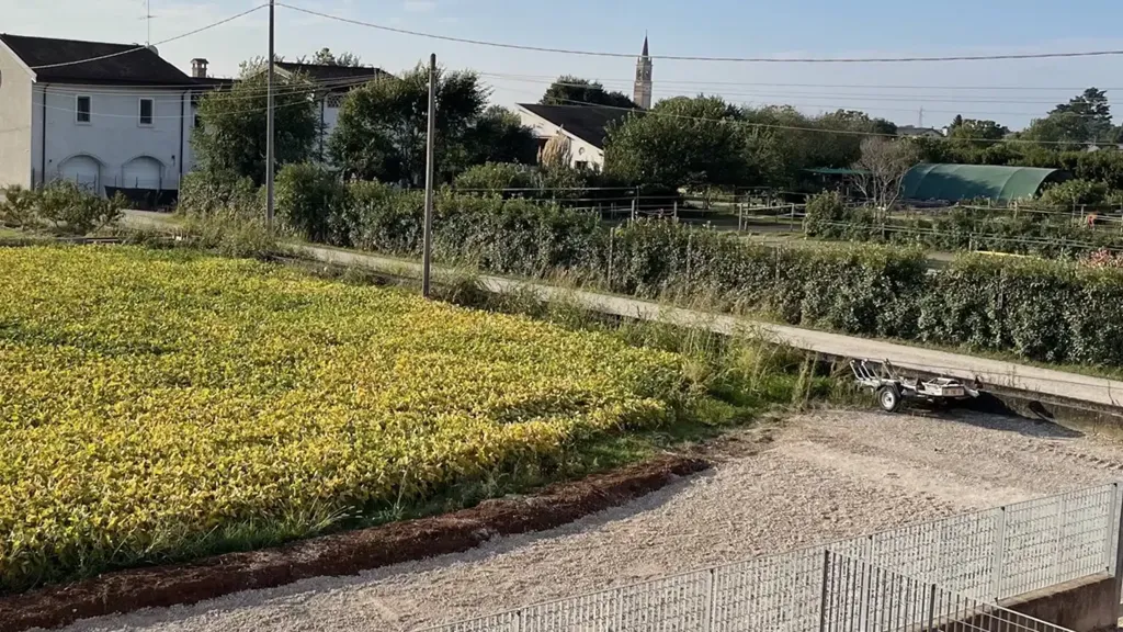 land_plot