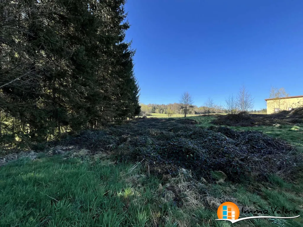 Giardino - Flat Terrain with Constructible Area in Vimenil