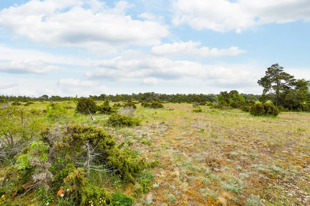 Giardino - Unbuilt Plot with Nature on Fårö
