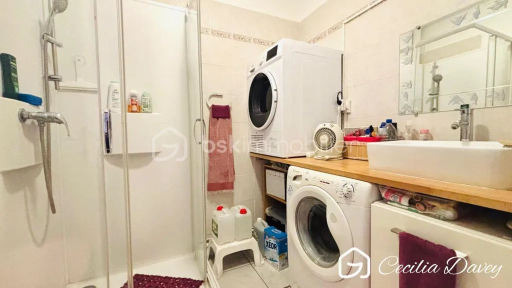 Buanderie - Appartement traversant avec balcon au cœur de Sens