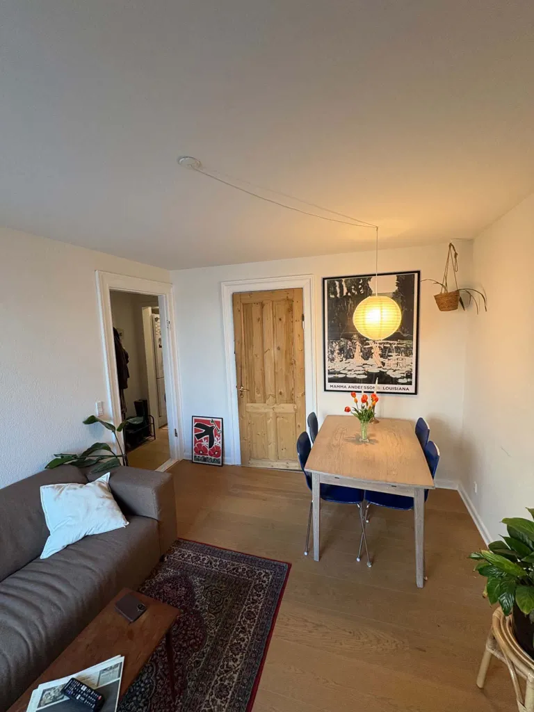 Elutuba - Compact Flat with Appliances in Denmark