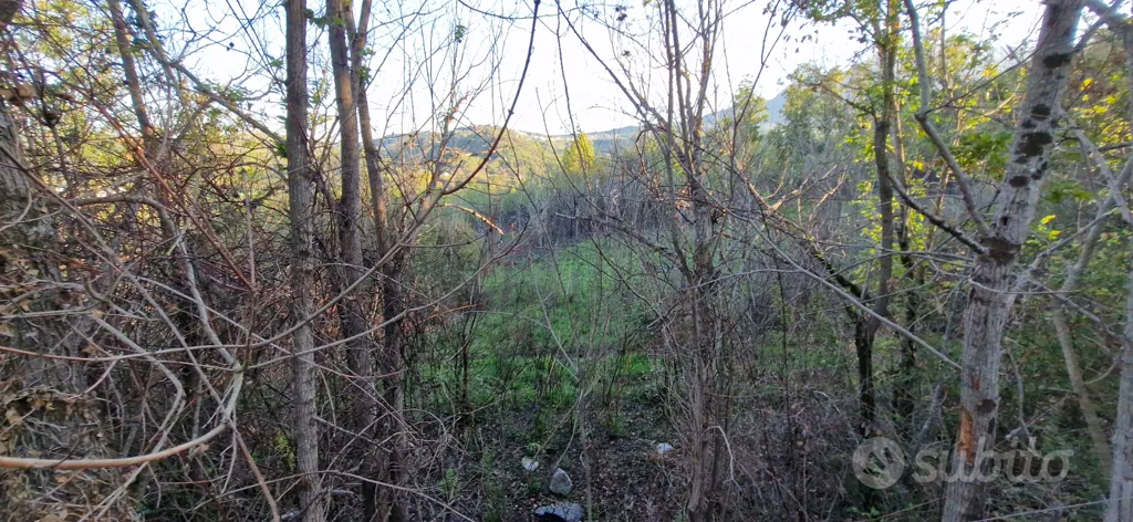 Aed - Buildable Land with Hill Views in Lapio