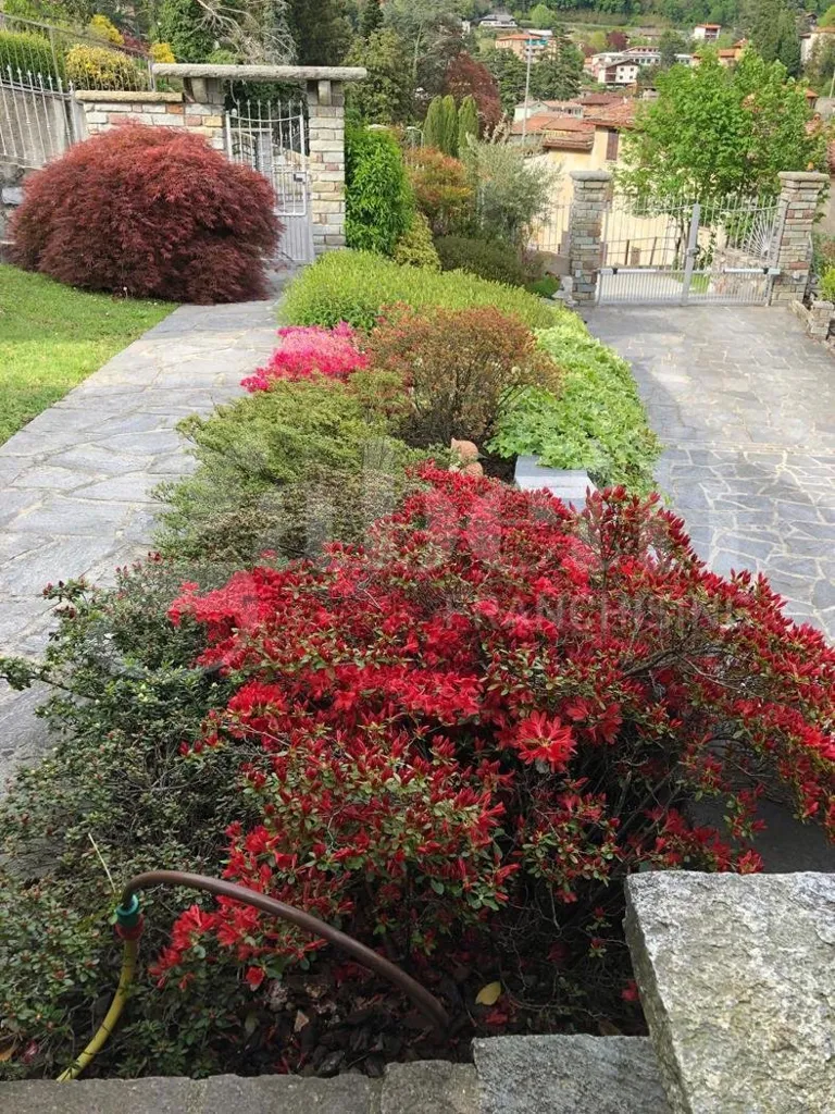 Giardino - Panoramic Villa with Garden in Asso (CO)