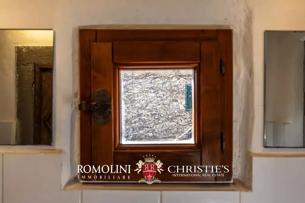 Vannitoad - Historical Villa with Pool in Chianti Hills