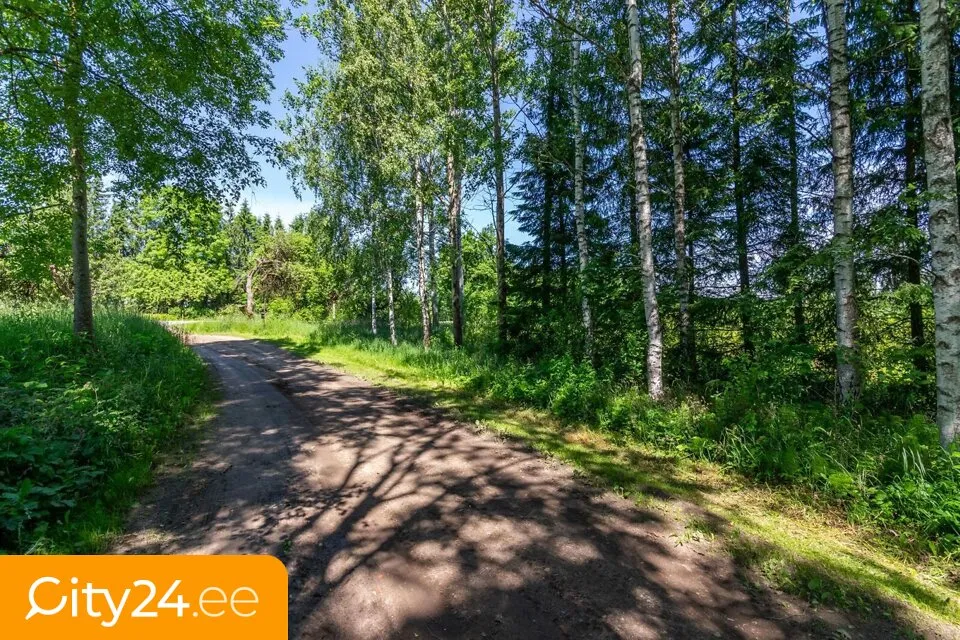 Välivaade - Agricultural Land with Forest in Sigulda District